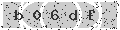 verify code