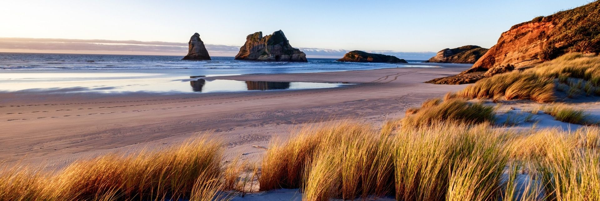 Sunset at coastline in New Zealand